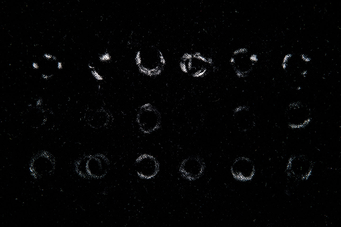 張洪凡 首飾設計