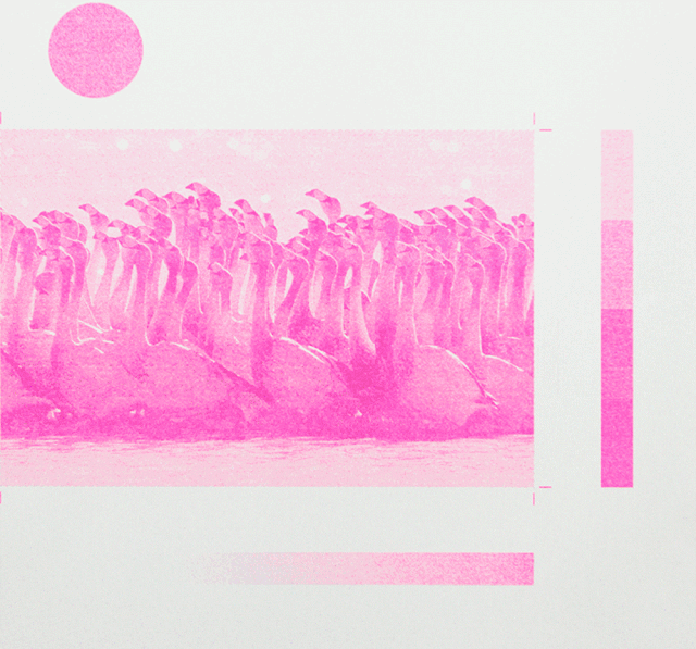 Risograph成為了平面藝術家們的心頭愛