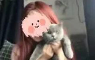 AIVA網(wǎng)課的畫風(fēng)，竟是大型云吸寵現(xiàn)場